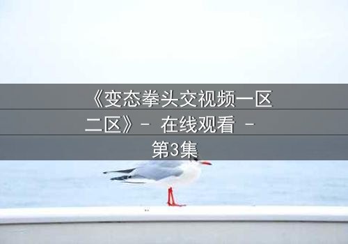 《变态拳头交视频一区二区》- 在线观看 - 第3集