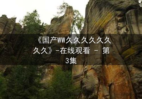 《国产WW久久久久久久久久》-在线观看 - 第3集