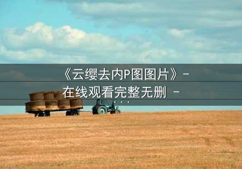 《云缨去内P图图片》- 在线观看完整无删 - 揭开虚拟与真实的残酷博弈