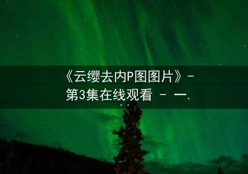 《云缨去内P图图片》- 第3集在线观看 - 一张照片引发的惊天秘密
