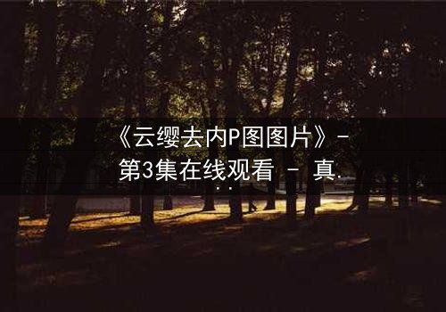 《云缨去内P图图片》- 第3集在线观看 - 真相背后,谁在操控她的命运?