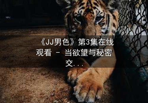 《JJ男色》第3集在线观看 - 当欲望与秘密交织,谁能全身而退?