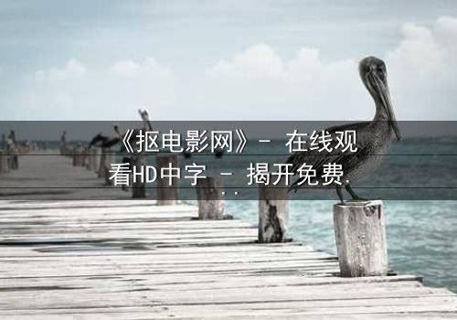 《抠电影网》- 在线观看HD中字 - 揭开免费背后的致命陷阱