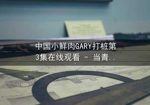 中国小鲜肉GARY打桩第3集在线观看 - 当青春热血遇上残酷现实,谁将主宰命运?