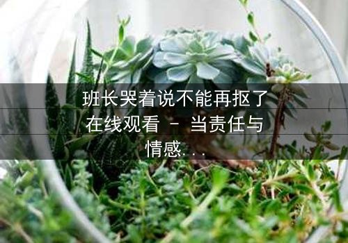 班长哭着说不能再抠了在线观看 - 当责任与情感碰撞,谁将崩溃?