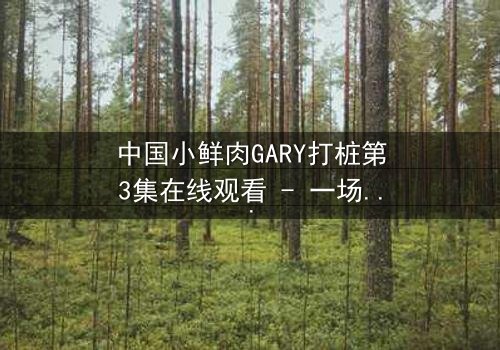 中国小鲜肉GARY打桩第3集在线观看 - 一场青春与欲望的隐秘较量