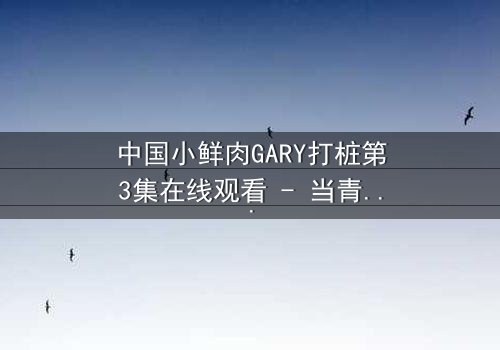 中国小鲜肉GARY打桩第3集在线观看 - 当青春梦想撞上残酷现实,谁将胜出?