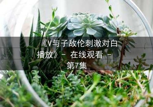 《V与子敌伦刺激对白播放》- 在线观看 - 第7集