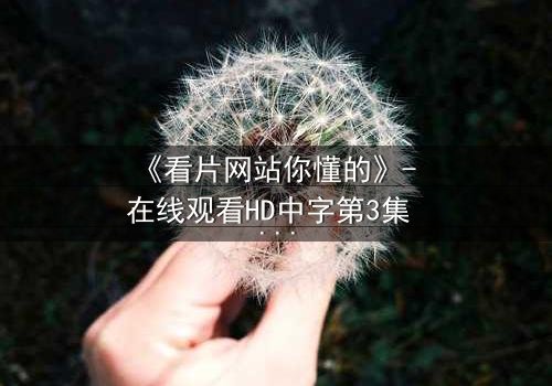 《看片网站你懂的》- 在线观看HD中字第3集 - 当屏幕背后藏着致命陷阱