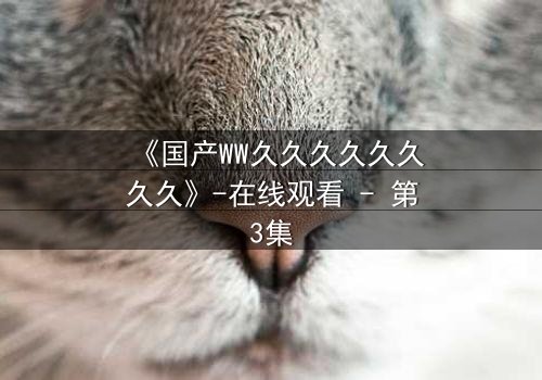 《国产WW久久久久久久久久》-在线观看 - 第3集