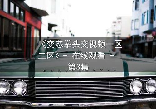 《变态拳头交视频一区二区》- 在线观看 - 第3集