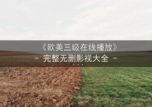 《欧美三级在线播放》- 完整无删影视大全 - 当欲望与良知在午夜交锋